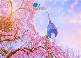 Tour Hàn Quốc Mùa Hoa Anh Đào 5N4Đ: Seoul - Nami - Everland